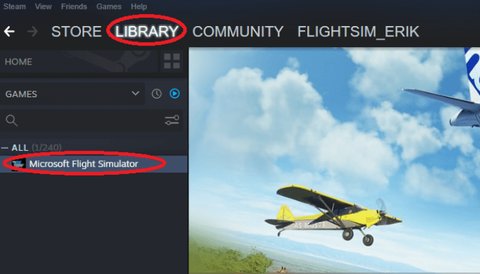 Descarga gratis Microsoft Flight Simulator a través de Steam - 5