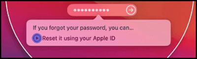 utiliza el ID de Apple para restablecer la contraseña