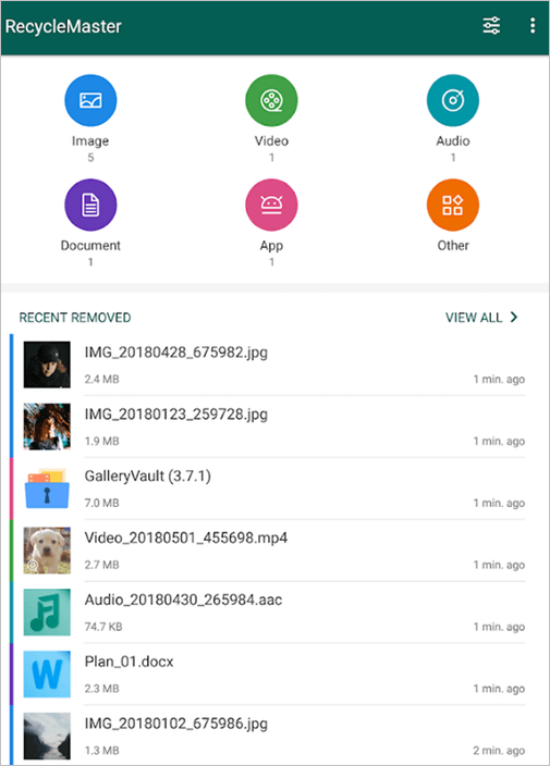 Maestro del Reciclaje