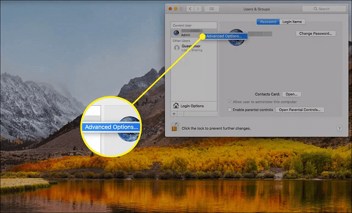 haz clic en opciones avanzadas