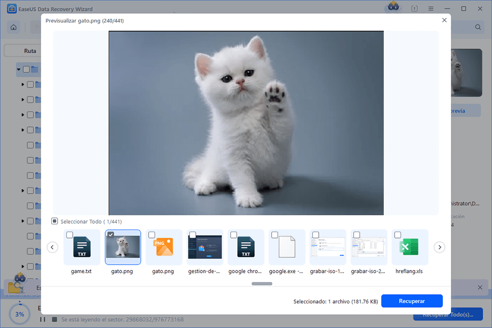 Previsualizar y recuperar los archivos perdidos con EaseUS Data Recovery Wizard.