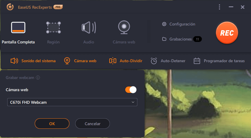 previsualización de la cámara web
