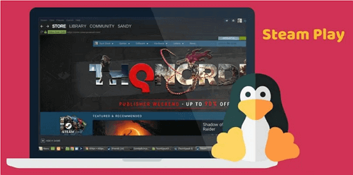 Jugar a los juegos de Steam en Linux