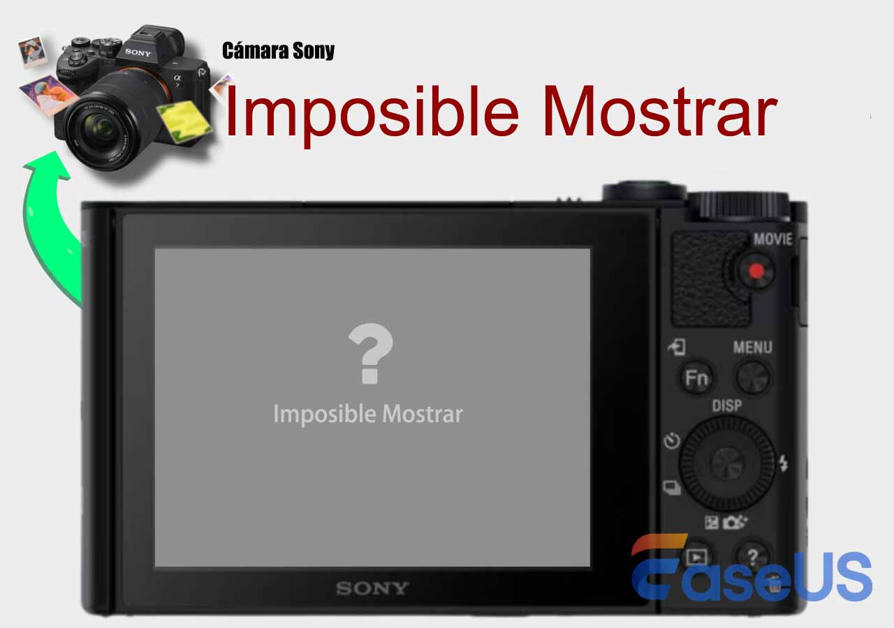 Unable to Display on your Sony camera