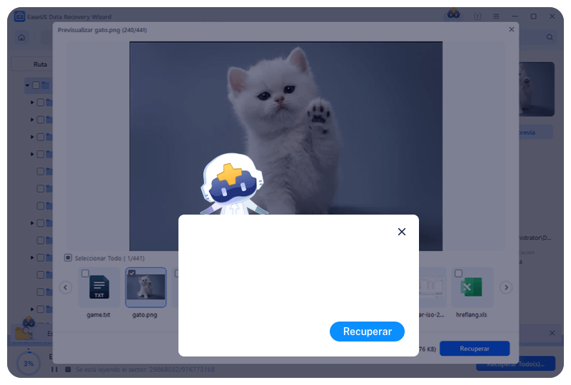 previsualizar y recuperar datos